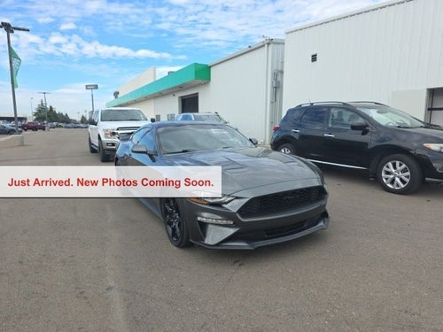 2019 Ford Mustang EcoBoost