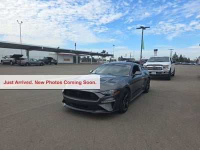 2019 Ford Mustang EcoBoost