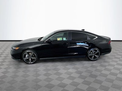 2025 Honda Accord Hybrid Sport