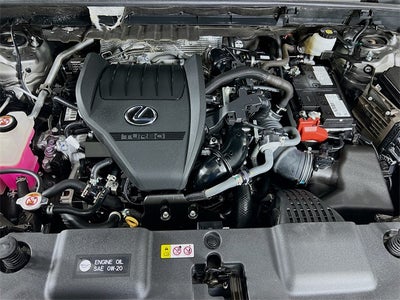 2023 Lexus NX 350 Premium