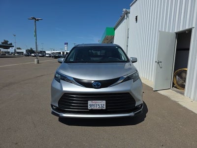 2025 Toyota Sienna XLE 8 Passenger