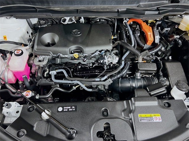 2025 Toyota Sienna XLE 7 Passenger