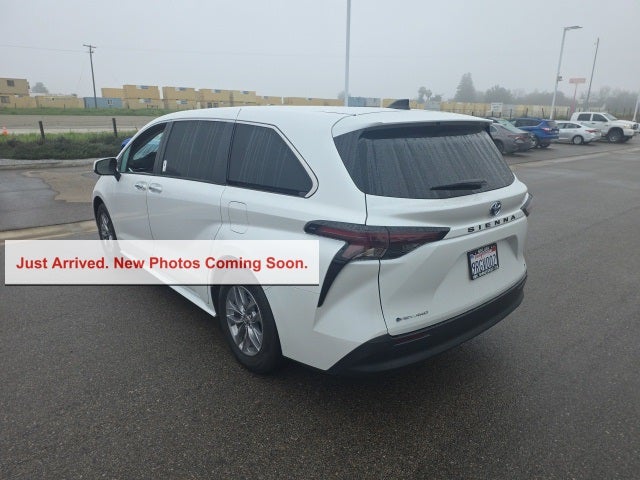 2025 Toyota Sienna XLE 7 Passenger