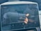 2024 Tesla Model 3 Base