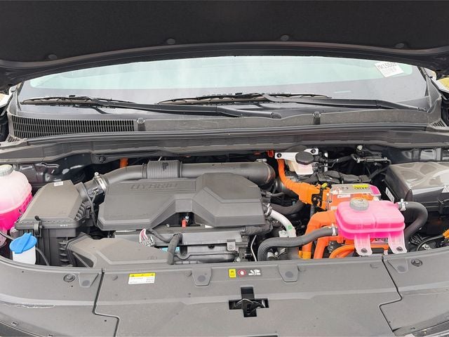 2026 Kia Carnival Hybrid LXS